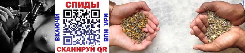 Купить где  Зерноград  Бутират 99% 